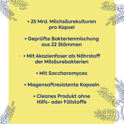 Zirkulin Biotix 100, ar B2 un B6 vitamīniem, 1 x 28 kapsulas, jaunas un aizzīmogotas