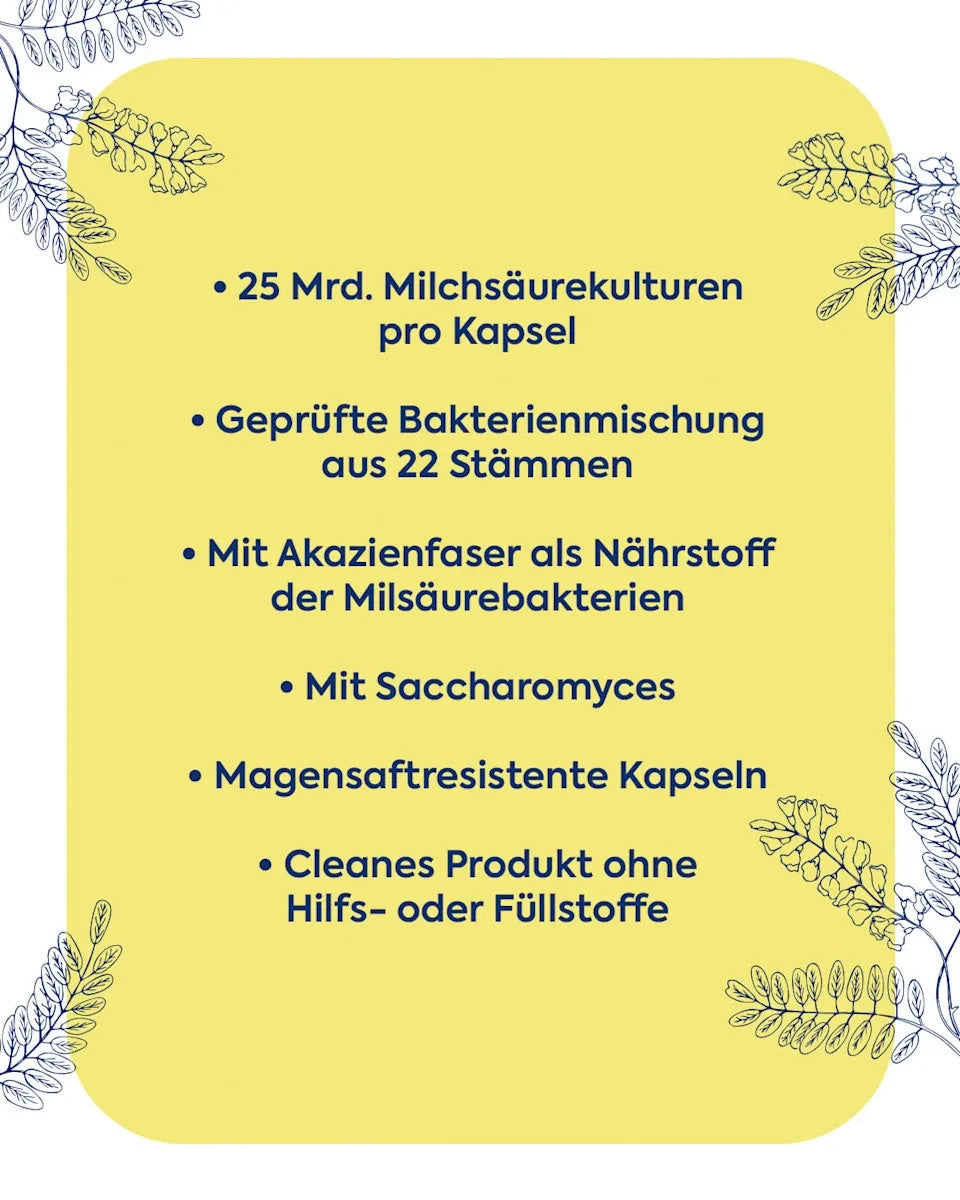 Zirkulin Biotix 100, ar B2 un B6 vitamīniem, 1 x 28 kapsulas, jaunas un aizzīmogotas