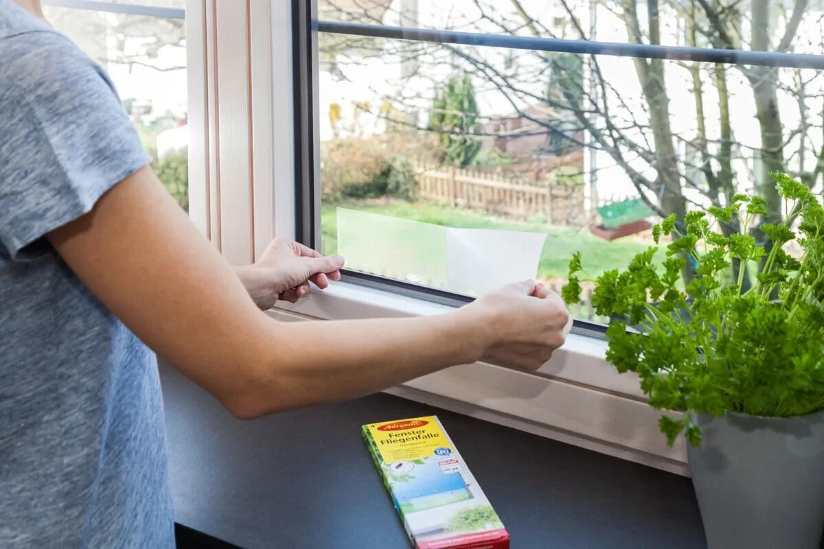 Aeroxon  Fenster Fliegenfalle, Transparent, Giftfrei und Geruchslos, 1x4 St, ovp