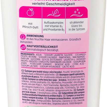 Balea Shampoo Seidenglanz, 1 x 300 ml, neu&ovp